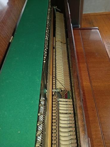 stels velosiped satisi: Piano, Belarus, Akustik, İşlənmiş, Ödənişli çatdırılma — 6
