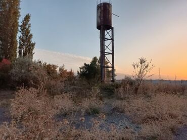 Продажа участков: 12 соток, Для строительства, Красная книга — 8