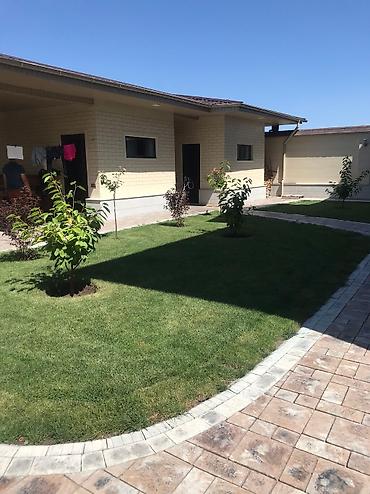 Другие стройуслуги: Сеем газон!☘️☘️ Посев газона🍀🍀 Косим газон🌱🌱 Травим — 8