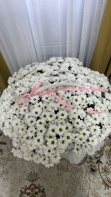 шоколадный подарок: Огромный букет белых хризантем-ромашек в круглой шляпной