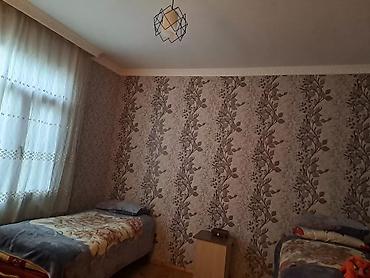 Hazır biznes: 6 sotda 2 ev 1i 150(1ci mertebe)+150(2ci mertebe) cemi 300 kvm Digeri — 17