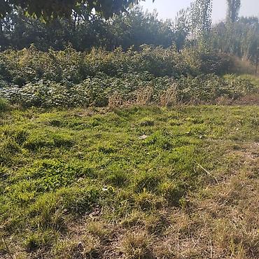 Продажа участков: 8 соток, Для строительства, Красная книга — 7