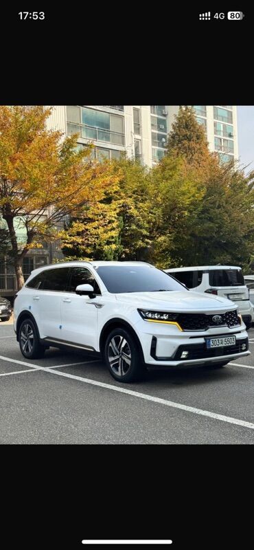 Kia: Kia Sorento: 2020 г., 1.6 л, Гибрид, Кроссовер — 1