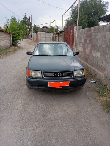 Audi: Audi 100: 1991 г., 2 л, Механика, Газ, Седан