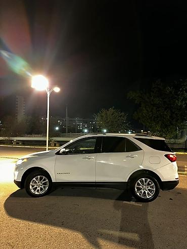 Chevrolet: Chevrolet Equinox: 2019 г., 1.5 л, Автомат, Бензин, Кроссовер — 15