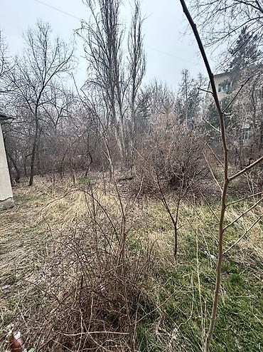 Продажа квартир: 3 комнаты, 63 м², Индивидуалка, 1 этаж, Старый ремонт — 14