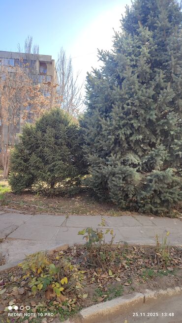 Продажа квартир: 2 комнаты, 50 м², Индивидуалка, 15 этаж, Старый ремонт — 22