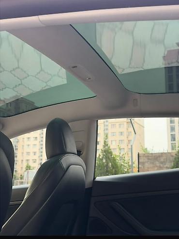 100 перохдка: Tesla Model 3: 2021 г., 5 л, Автомат, Электромобиль, Седан — 10