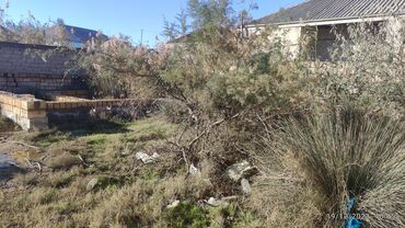 Torpaq sahələrinin satışı: 2500 sot, Tikinti, Makler, Bələdiyyə -da lalafo.az — 10 Torpaq sahələrinin satışı: 2500 sot, Tikinti, Makler, Bələdiyyə — 10