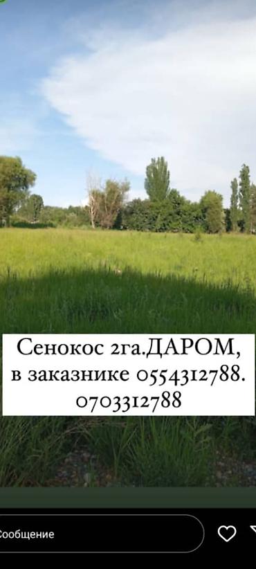 Отдам даром: Токмок. Сенокос, площадь 2 га. Расположен в заказнике. Указано — 2