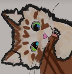 сколько стоит щенок хаски без документов: Двельф, 4 месяца, Девочка, Белый, С прививками