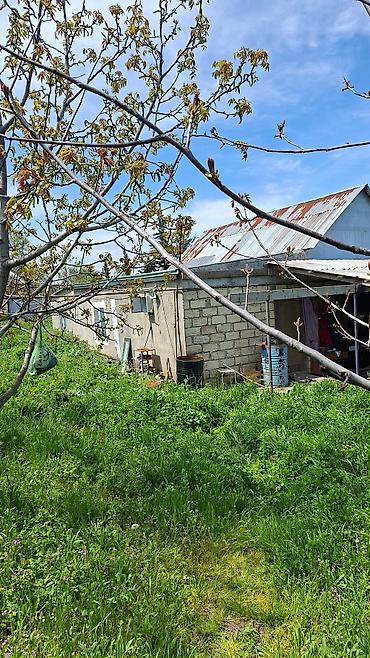 Torpaq sahələrinin satışı: 10 sot, Kənd təsərrüfatı, Mülkiyyətçi, Bələdiyyə — 6