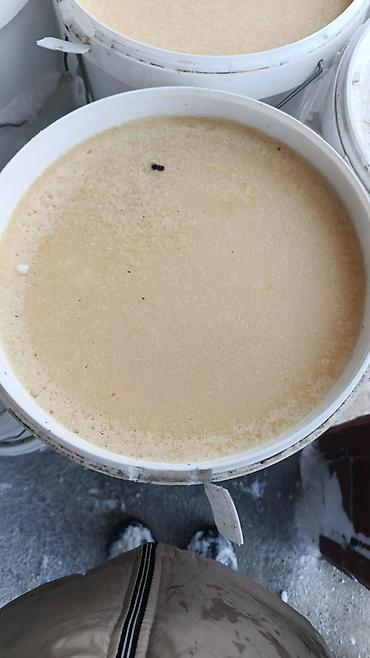 Мёд: Мёд Тюп и Каркара 20 тон анализ на антибиотик и пестициды прошел стоит — 4