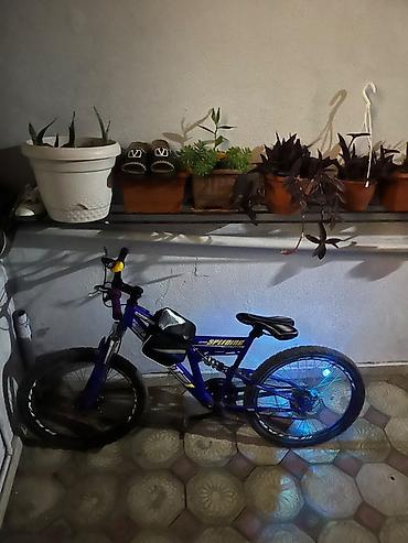 velo: Məhsul: dağ velosipedi – SPEEDBIKES SPIRIT (mavi rəng) Təsvir: - — 5