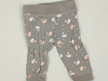 spodnie garniturowe szare: Sweatpants, So cute, 3-6 months, condition - Good