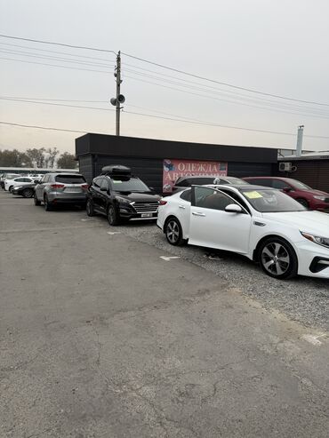 Hyundai: Hyundai Tucson: 2019 г., 2.4 л, Автомат, Бензин, Кроссовер — 10