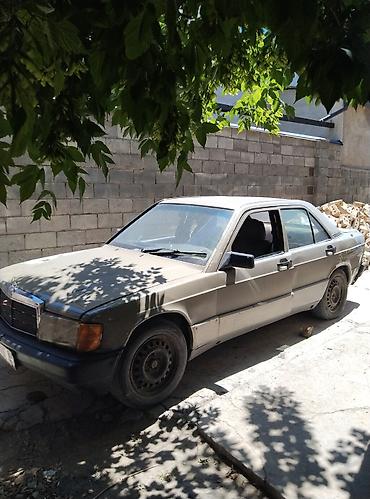 thindiag 2: Mercedes-Benz 190: 1991 г., Механика, Дизель — 1