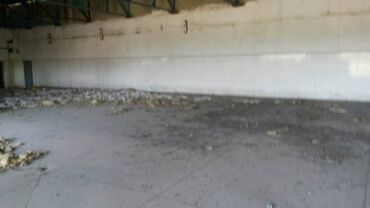 Torpaq sahələrinin satışı: 200 sot, Tikinti, Makler, Kupça (Çıxarış) — 12