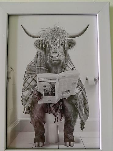 Другие услуги: ГЕОЛОГ-КОНСУЛЬТАНТ / СОПРОВОЖДЕНИЕ Геолог-консультант. Разведка — 11