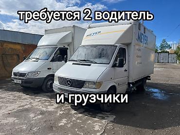 сто жумуш: Талап кылынат Жүк ташуучу транспорт айдоочусу, Айдоочулук категориясы (B), Фургонго, Тажрыйбасы 5 жылдан жогору, Расмий жумушка орноштуруу, Беш күндүк, Эркек — 1