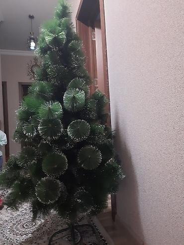 agac az: Süni Yeni il şam ağacı - Konusvari forma, sıx və həcimli budaqlar - — 1