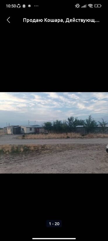 Сельхоз предприятия: Продаю Кошара, 50 соток, Действующий, Частично с оборудованием, Электричество, Канализация, Отопление at lalafo.kg — 2 Сельхоз предприятия: Продаю Кошара, 50 соток, Действующий, Частично с оборудованием, Электричество, Канализация, Отопление — 2