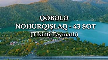 qubada torpaq satisi: Qəbələ, Nohurqışlaq kəndində torpaq sahəsi – 43 sot . Bütöv paket — 1