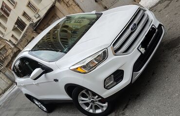 Ford: Ford Escape: 1.5 l | 2019 il 195400 km Ofrouder/SUV — 5