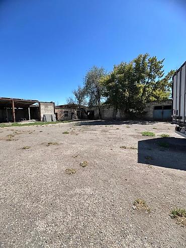 Продажа участков: 25000 соток, Красная книга — 1