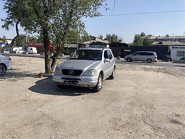 мнрс 124: Mercedes-Benz M-Class: 2000 г., 3.2 л, Типтроник, Газ, Внедорожник — 8