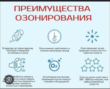 шампунь для ковров: Дезинфекция, дезинсекция, | Вирусы, микробы, Мыши и крысы, | Транспорт, Офисы, Квартиры