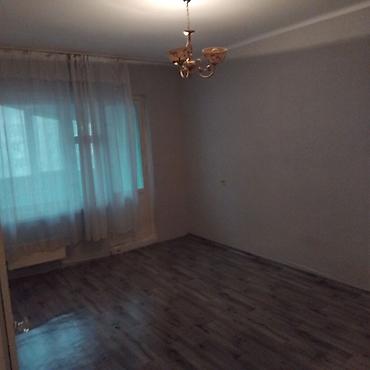1 комната, Без животных