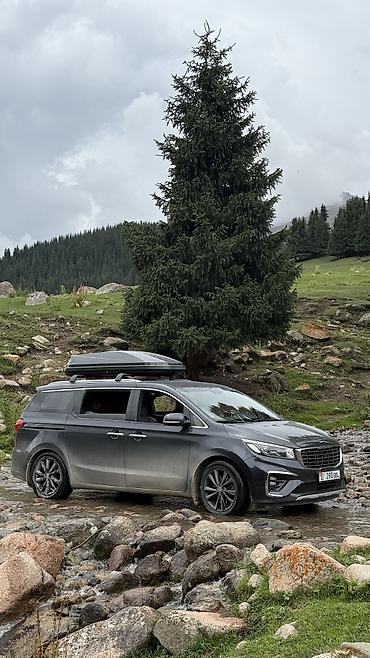 nobles: Kia Carnival: 2019 г., 2.2 л, Автомат, Дизель, Минивэн — 3