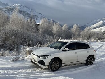 электрический авто: BYD : 2024 г., 2 л, Робот, Электромобиль, Хэтчбэк