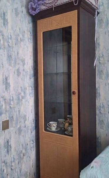 asılqan satışı: Şüşəli dolab vitrini, İşlənmiş — 2