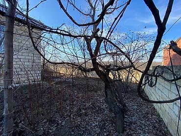 heyet evi satisi: 5 otaqlı, 150 kv. m, Kredit yoxdur, Təmirsiz — 7