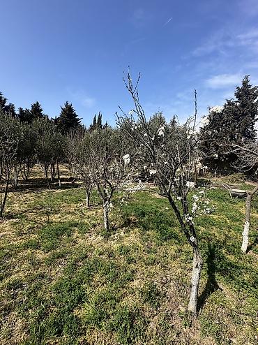 goradil: 12 sot, Tikinti, Maklerlər narahat etməsin, Texniki pasport — 9