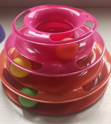 Pişiklər: Erkək, Dişi -da lalafo.az — 30 Pişiklər: Erkək, Dişi — 30