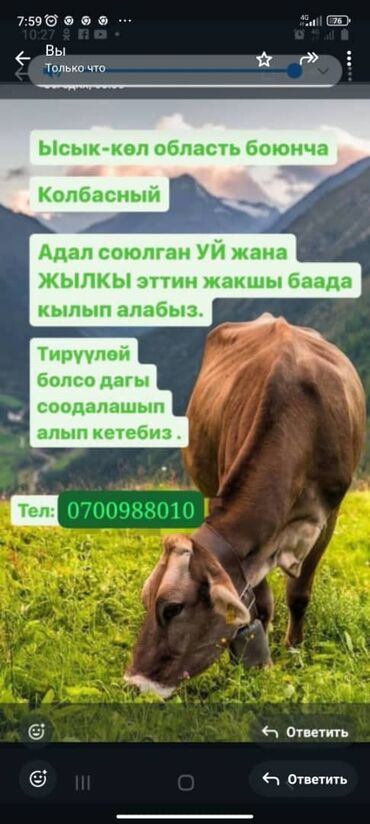 клеточное оборудование для кур несушек: Сатып алам | Уйлар, букалар | Союуга, этке
