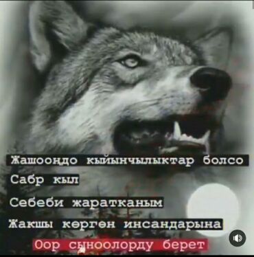 Водитель-экспедитор. (B)