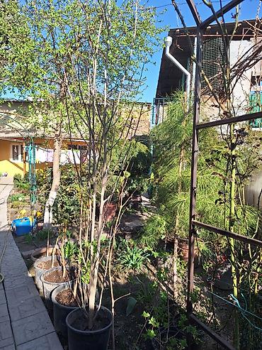 Продажа коттеджей и домов: 3 комнаты, 80 м², 4 соток, Орто-Сай, Собственник — 22