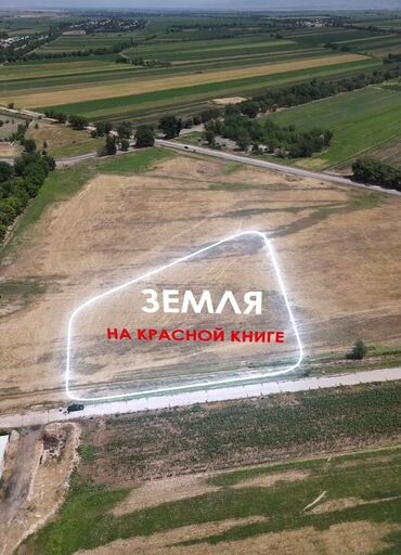 сдаю дом нижняя алаарча: 59 соток, Кызыл китеп