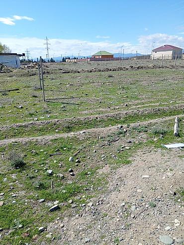 1 комната квартира снять: 14 соток, Для строительства, Собственник, Бялядия (муниципалитет) — 4