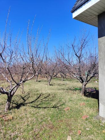 Продажа домов: Дом, 200 м², 4 комнаты, Риэлтор, ПСО (под самоотделку) at lalafo.kg — 2 Продажа домов: Дом, 200 м², 4 комнаты, Риэлтор, ПСО (под самоотделку) — 2