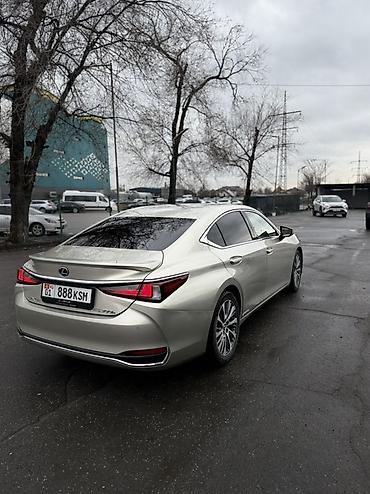Lexus: Lexus ES: 2019 г., 2.5 л, Автомат, Бензин, Седан — 6
