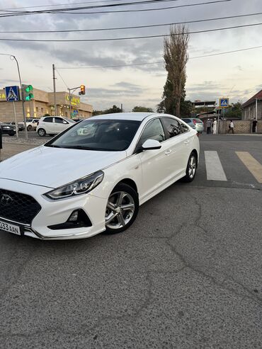 купить машину хендай солярис: Hyundai Sonata: 2019 г., 2 л, Автомат, Газ, Седан
