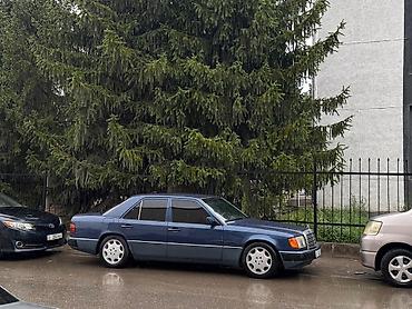 Mercedes-Benz W124: 1993 г., 2.2 л, Механика, Бензин, Седан