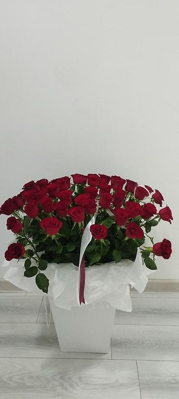ros: Букет «Ароматная переноска» от La’Rose 51 роза, длина стебля 40 см — 4