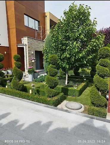 Дизайн, проектирование: Дизайн | Дома — 16