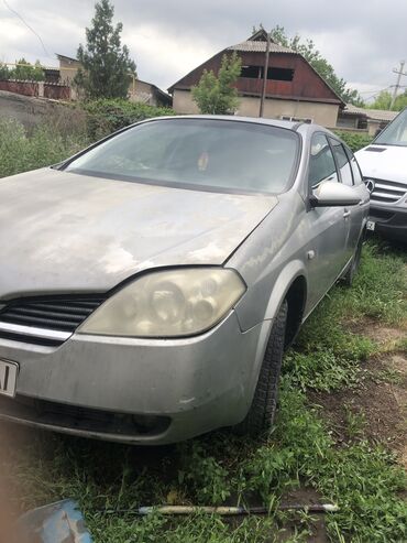 Nissan: Nissan Primera: 2003 г., 1.9 л, Механика, Дизель, Минивэн